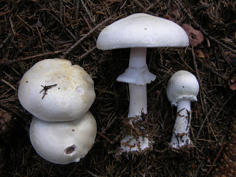 Svuotando l''archivio 2009...parte1